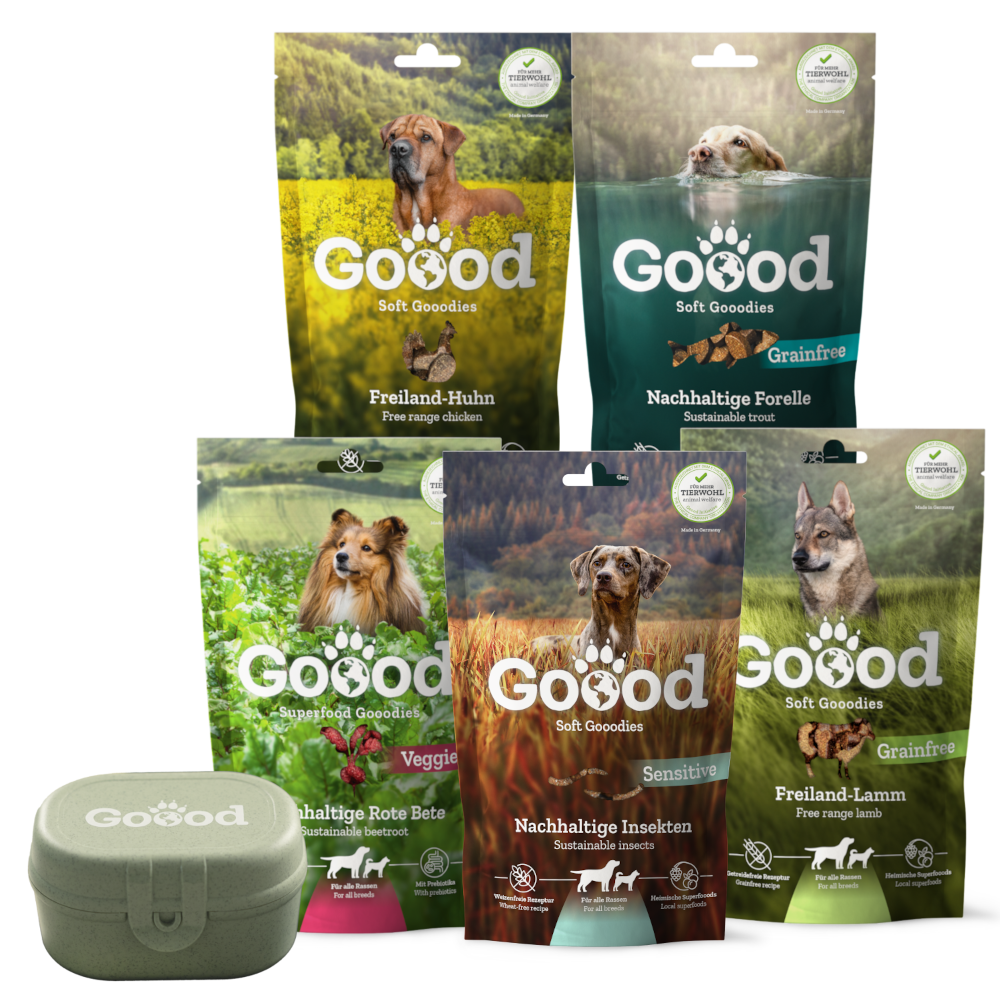 Pack Goood Snack - 5 variétés + 1 boîte à snack Offert !
