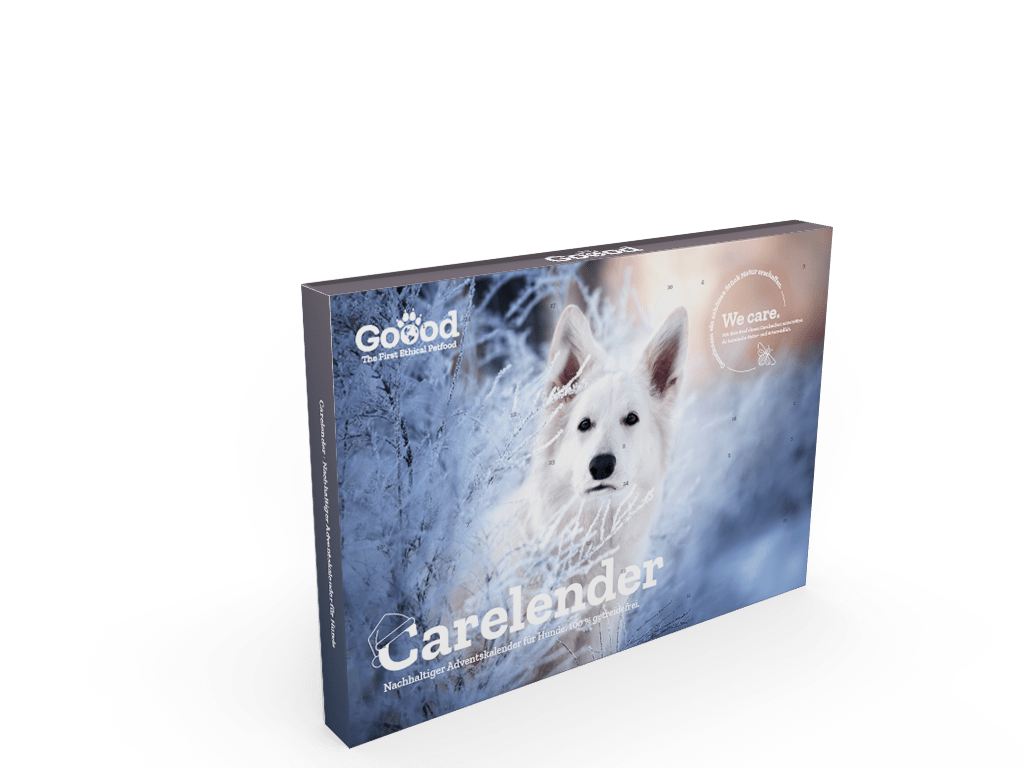 Goood Calendrier de L'avent