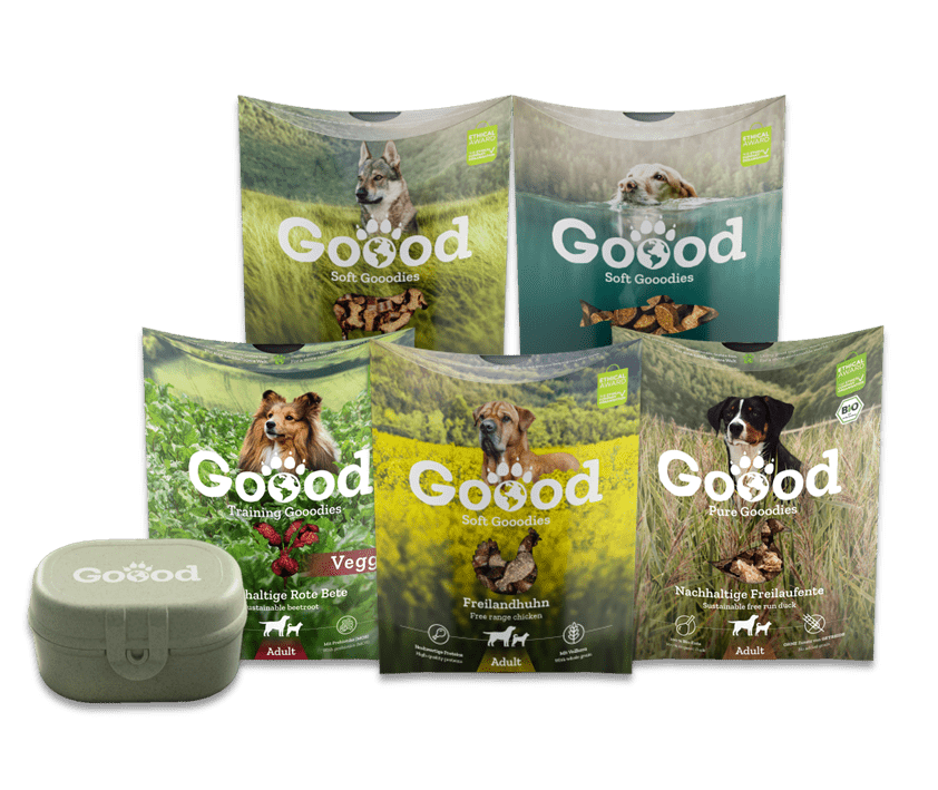 Pack Goood Snack - 5 variétés + 1 boîte à snack Offert !
