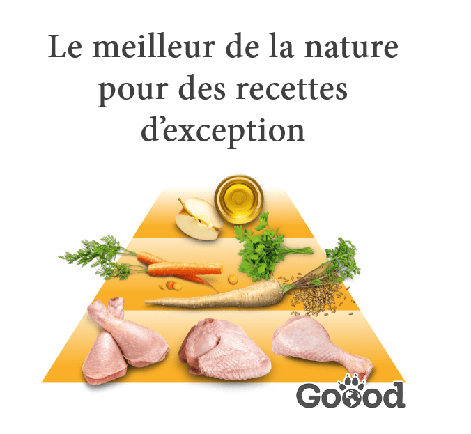 pyramide volaille composition croquettes volaille