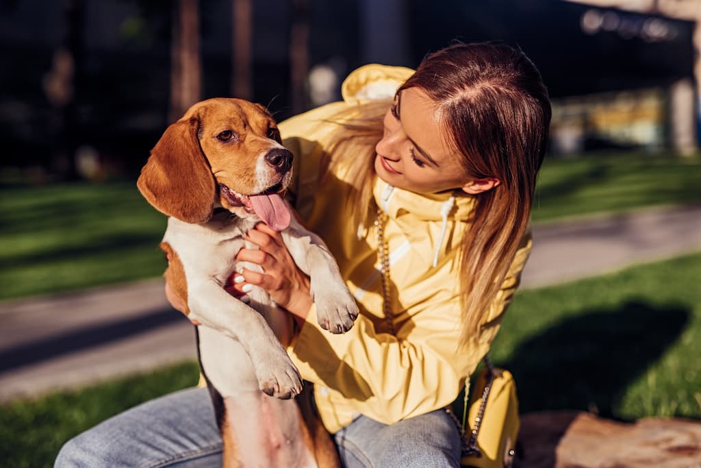 Quotidien avec un chien